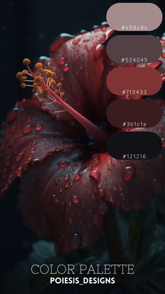 a red flower with water droplets on it and the words color palette in different colors