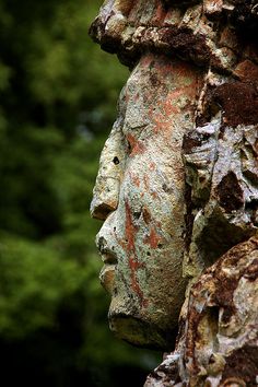 a close up of a tree trunk with a face on it's side and trees in the background