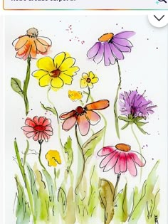 an image of flowers painted with watercolors