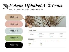 the font and color palettes are used to create an image for this website page