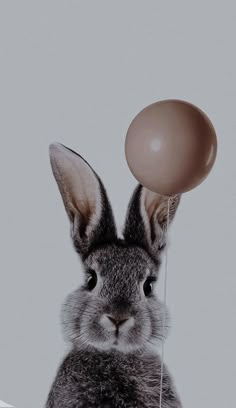 Cute bunny balloon phone wallpaper background inspiration music ideas love songs dua lipa verve lauv best of 2022 Wallpaper Rabbit, Rabbit Wallpaper, Animal Print Wallpaper, Wallpaper Cute, Print Wallpaper, Animal Wallpaper, Cute Cat, Animal Print, Iphone Wallpaper