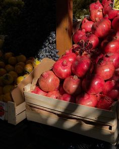 there are many pomegranates in boxes on display at the fruit stand