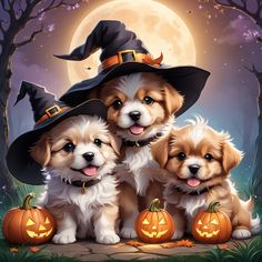 three puppies wearing witches hats sitting in front of a full moon with pumpkins