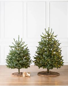 two small christmas trees with lights on them