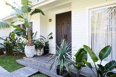 a house with plants in front of it and a wooden porch leading to the door