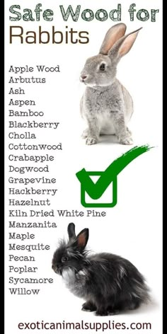 rabbits and rabbits with the words safe wood for rabbits written below each rabbit's name