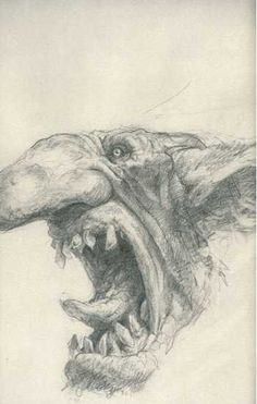 a drawing of an animal's head with it's mouth open and teeth out