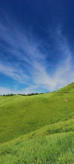 an open field with green grass under a blue sky