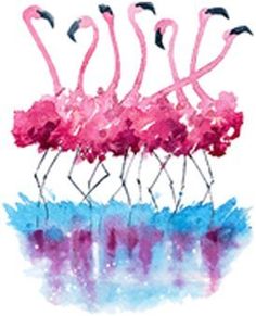 four pink flamingos are standing in the water