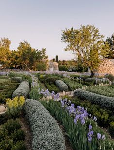 the garden is full of purple flowers and green bushes, with stone buildings in the background