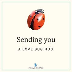 a ladybug with the words sending you a love bug hug