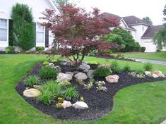 a very nice looking yard with some pretty flowers and rocks in the grass by it