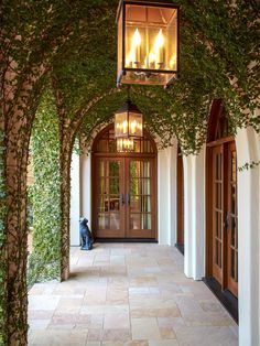 the entrance to an elegant home with vines growing all over it