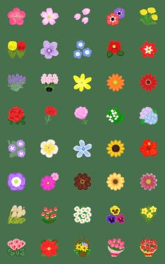 an assortment of flowers are shown on a white background with the words flower power written below them