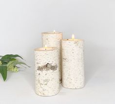 two white birch log candles sitting next to each other