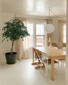 a dining room table with chairs and a potted plant