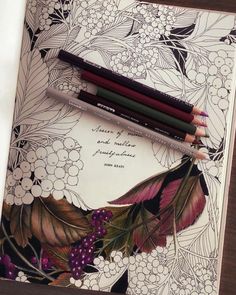 three colored pencils sitting on top of a coloring book with an image of leaves and berries