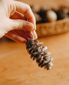 a person is holding a pine cone on a table