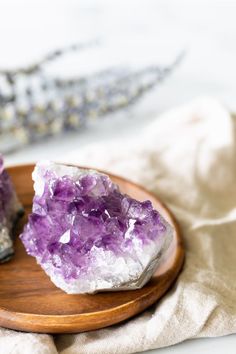 Crystals Photography, Spiritual Photography, Money Plants, Feng Shui Money, Crystal Photography, Feng Shui House, Magic Stones, Crystal Power, Crystal Aesthetic