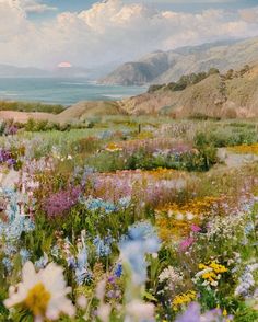 a field with flowers and mountains in the background on a sunny day by the ocean