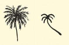 two palm trees are shown in black and white