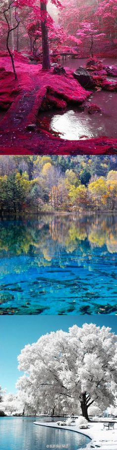 two different pictures with trees and water in them, one is blue and the other is pink