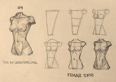 sketches of female mannequins from the back to the front