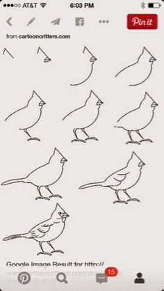 an iphone screen showing how to draw birds