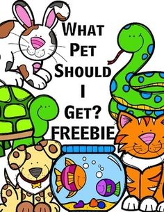 Classroom Pets, Toddler Speech, Numeracy Activities, Animal Lessons