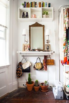 a room with some plants and other things on the shelf in front of the mirror