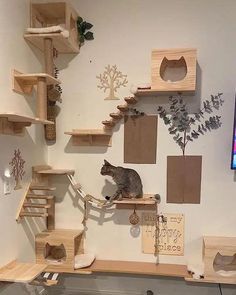 a cat sitting on top of a wooden shelf in front of a wall mounted tv