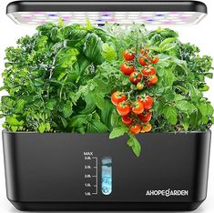 #IndoorGarden #Gardening #GrowingVeggies Plant Germination, Hydroponic Vegetables, Hydroponic Growing, Smart Garden, Led Grow Light, Fruit Flowers, Grow Kit, Garden Accents, Hydroponic Gardening