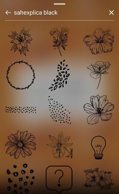 some flowers are drawn on a brown background with the words sahexplica black