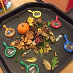 a tray filled with lots of leaves and toys