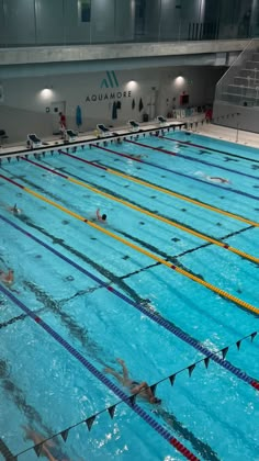 an indoor swimming pool with swimmers in it