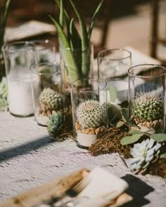 a table topped with glass vases filled with succulents