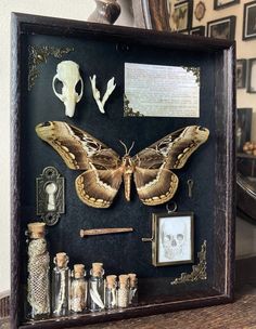 a shadow box with an image of a butterfly and other items in it on top of a table