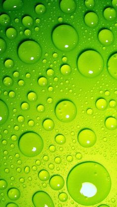 water drops on the surface of a green liquid bottle with white dots in the middle