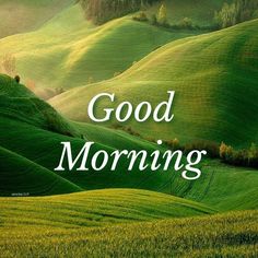 the words good morning are in front of a green field with rolling hills and trees