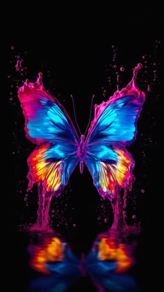 a colorful butterfly with water splashing on it's wings