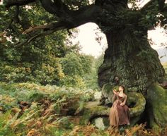 two women are sitting in front of a large tree