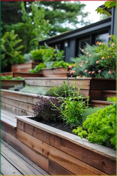 an outdoor garden area with wooden steps and plants growing in the planter boxes on each side