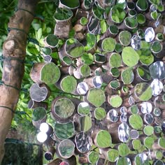 a tree filled with lots of mirrors hanging from it's sides and surrounded by greenery