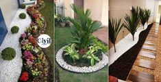 three different types of plants in front of a house and on the other side of a walkway