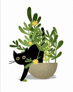 a black cat sitting in a bowl with plants