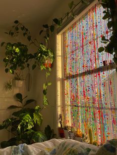 a bedroom with plants hanging from the window and curtains on the windowsill, in front of a bed