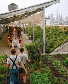 two men are walking down the path to an outdoor dining area with lots of plants