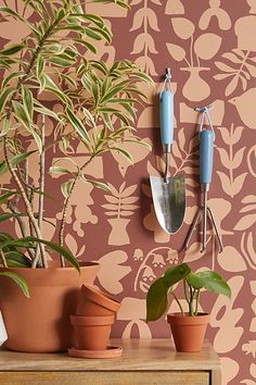 there is a potted plant on the table next to two wall hooks with plants in them