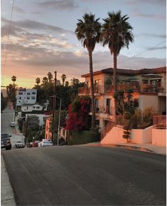 palm trees line the street in front of apartment buildings at sunset, with cars parked on both sides