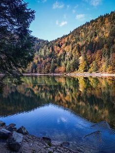 a body of water surrounded by trees in the fall season with colorful foliage on the mountains